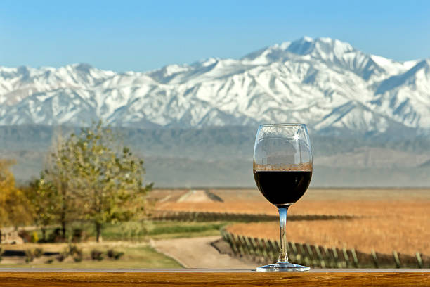 les vins d'Amérique du Sud