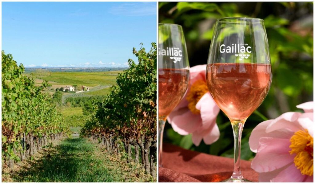 les vins de Gaillac