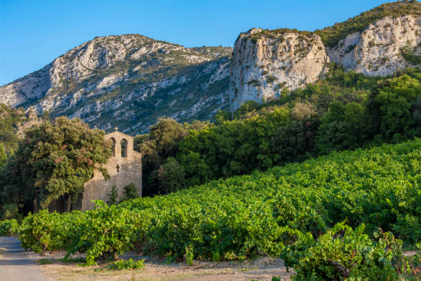 sur la route du vignoble languedocien
