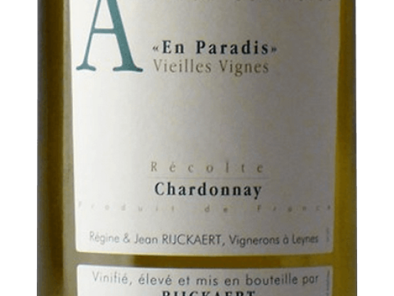 tout savoir sur le Chardonnay