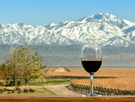 les vins d'Amérique du Sud