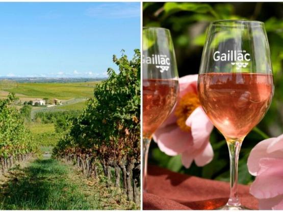 les vins de Gaillac