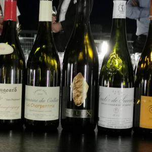 vins stars Loire
